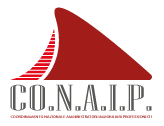 Studio Sacis - Conaip